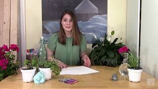 Studio Art Tutorials at Home: An Exploration in Color and Composition