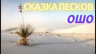 №1. СКАЗКА ПЕСКОВ. Ошо. Мудрость песков. Беседы о Суфизме. САМОРАЗВИТИЕ