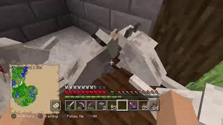 Old Minecraft survival stream