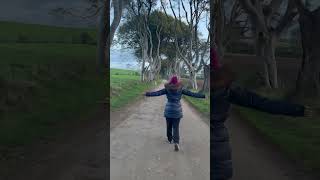 Dark Hedges