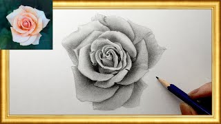 How to draw a realistic rose🌹  pencil sketch　鉛筆画