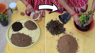 गमले की मिट्टी कैसे तैयार करे | How to make potting mix at home | Soil mixture kaise banaye |