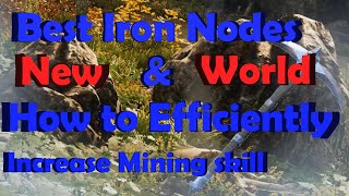 Increasing Mining Skill Level And Early Game Iron Location| New World | 2021