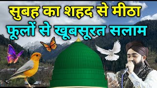 माशा अल्लाह 🌟 Subha Ka Shahad 🍯 Se Mitha Duroodo Salam 🌟 मुस्तफ़ा ﷺ जान ए रहमत सलाम  (episode 22)