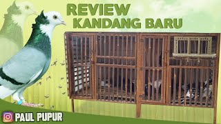 REVEIW KANDANG BARU BUAT MERPATI ENDEMIK KUPU-KUPU