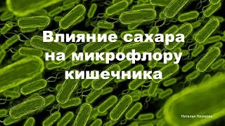 Влияние сахара на микрофлору кишечника