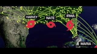 Hurricane Disaster Response | Sunbelt Rentals