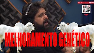 Melhoramento Genético