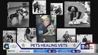 Pets Healing Vets: Shelter dogs and freedom fighters saving each other