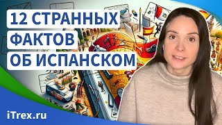 Испанский: 15 фактов, чтобы блеснуть эрудицией в кругу друзей