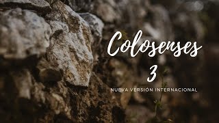 Colosenses 3 - NVI - 📖 Lectura de la Biblia ❤️ #biblia #cruz #cristianos #diosesbueno #audiobiblia