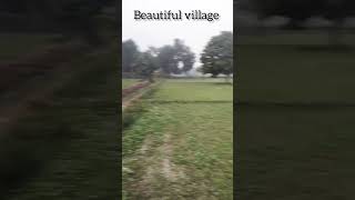 #villagelife #village #shortvideo #viral