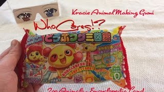 Japanese DIY Candy Kit - Kracie Animal Making Gummy Encyclopedia Land - Japans Snoep! Kawaii