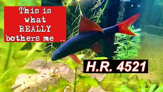 Lets re-name the Aquarium "Hobby"  It is so much more!  My take on the COMPETES Act H.R. 4521