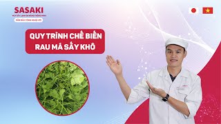 Cách sấy rau má khô, giữ nguyên màu xanh bằng công nghệ SASAKI Nhật Bản