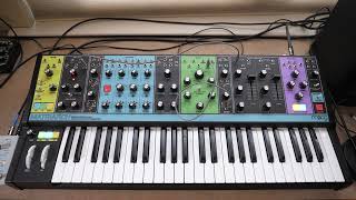 Moog Matriarch with Hologram Microcosm Ethereal Ambient