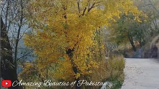 Beautiful Village Tour | Murre Village Trip | Beautiful Tourists Place December 2023