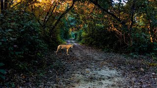 Bardia National Park and thakurdwara bardia