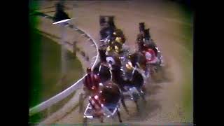 Mildura trots - Wednesday June 3rd, 1981