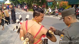 Keseruan Pawai Budaya di Tarakan bersama orang Dayak