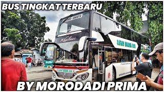 CEK LUAR DALAM PRODUK TERBARU DARI SAFARI DHARMA RAYA || DD OLEH KAROSERI MORODADI PRIMA