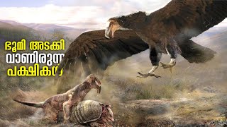 Birds that Once Ruled the Earth |മനുഷ്യനെ പോലും കൊല്ലാൻ ശേഷിയുള്ള ഇവയ്ക്ക് പിന്നീട് എന്ത് സംഭവിച്ചു