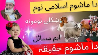 اسلامی نام اور حقیقہ |  مولانا ادریس پشتو بیان | Muslim ummah