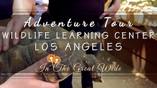 Wildlife Learning And Conservation Center - Adventure Tour Review with Animal Encounters