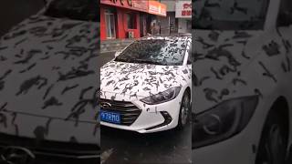 Worms Rainfall In China Beijing #china