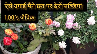 How to grow vegetables at home|| घर की छत पर सब्जी कैसे उगाएं ||