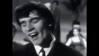 THE ZOMBIES   1965   She's Not There