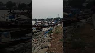 Balugaon chilika fish harbour