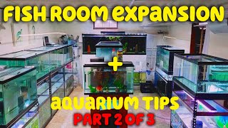 Fish Room Expansion + Aquarium Tips + Full Tour (Part 2 of 3)