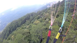 Above the pines and cliffs