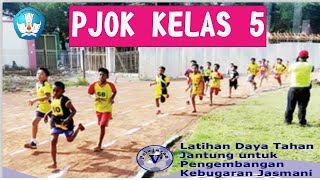 ,PJOK KELAS 5 LATIHAN DAYA TAHAN JANTUNG UNTUK KEBUGARAN JASMANI