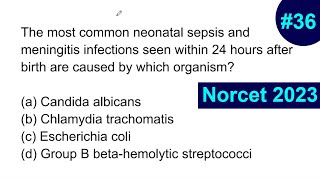 norcet exam preparation I aiims norcet 2023 I aiims norcet questions and answers #36