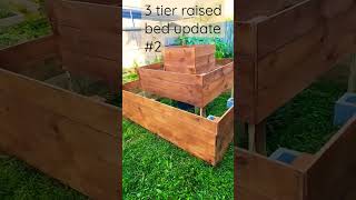 3-tier raised bed project update #2 stain