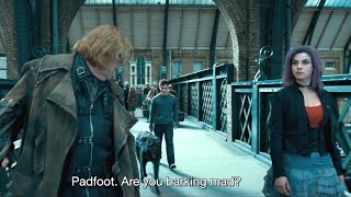 Harry goes nuts after seeing Voldemort on train platrom | Harry Potter and the Order of the Phoenix