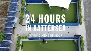 Training and Behaviour | 24 Hours In Battersea