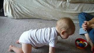 ella crawl