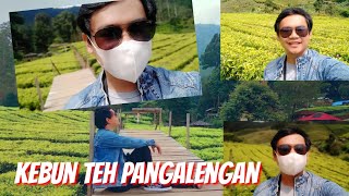 Keindahan Kebun Teh Pangalengan - Bandung❗❗Akses Jalan Menuju Kebun  Teh Pangalengan