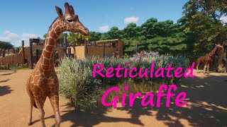 Reticulated Giraffe - Future Life Sub-Saharan Africa