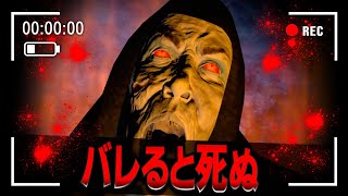 精神崩壊するかくれんぼホラーゲームでまじ死にかけた...『協力型ホラーゲーム』【The Watchers】