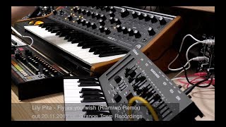 Lily Pita - Fly as you wish (Riamiwo Remix) Livesession with Moog Sub37 (Riamiwo StudioVlog 68)