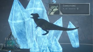 The Final Days Of The 4.1 Carnivore Pachy | Beasts of Bermuda