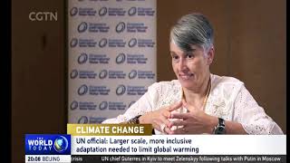 Climate Change: UN official: larger scale, more inclusive adaptation needed to limit global warming