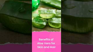 Aloe Vera Secrets: Transform Your Skin and Hair! #aloevera  #skincare  #haircare  #shorts