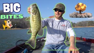 Bass fishing Norris Lake March 14, 2024.