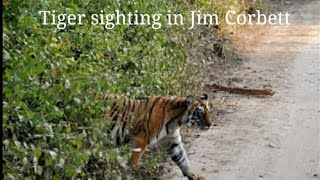 A Trip to Jim Corbett Tiger Reserve || Jungle Trip || Tiger Sightseeing || Elephant Attacks...