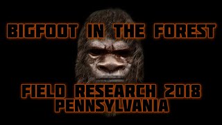 BIGFOOT IN THE FOREST - FIELD RESEARCH 2018